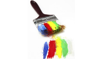 AkankashaD_Nov2013_Paintbrush_Diversity