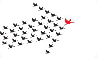 quotes about leadership, flying ducks in an arrow