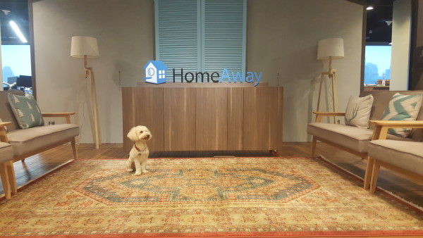 Nacho (one of HomeAway's employee's pets) sitting by the reception