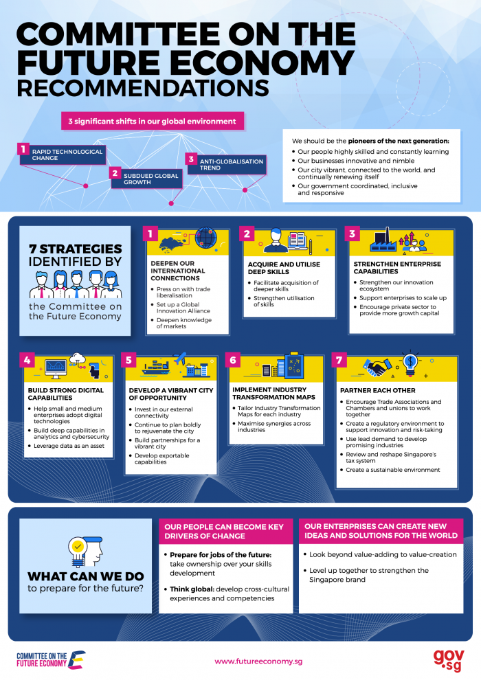 CFE Recommendations to the government