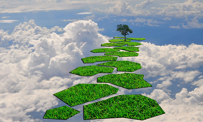 Career path, hr