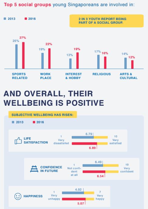 national youth council survey social groups