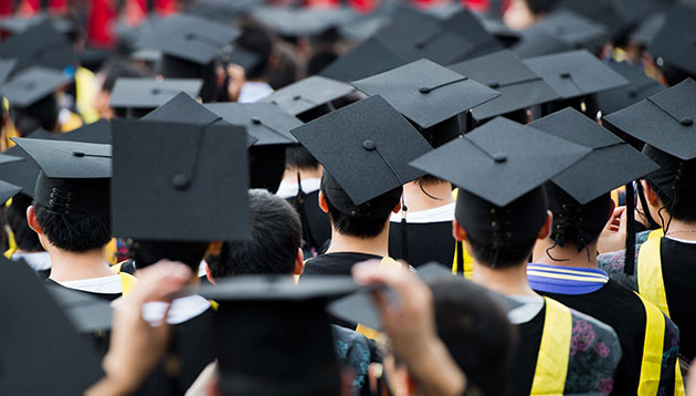 Fresh graduates