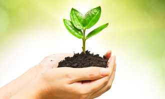 green job - 123RF